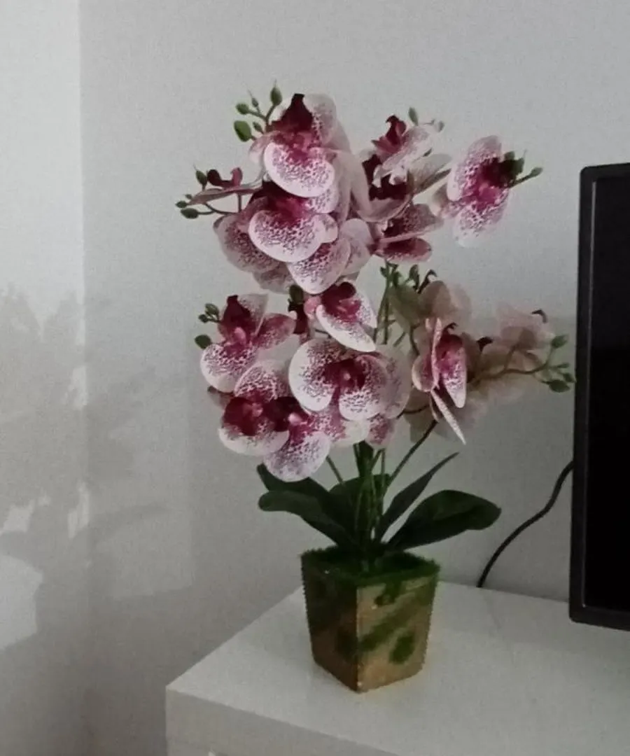 Guest house Global Guest Pn Hotel Lisbon
